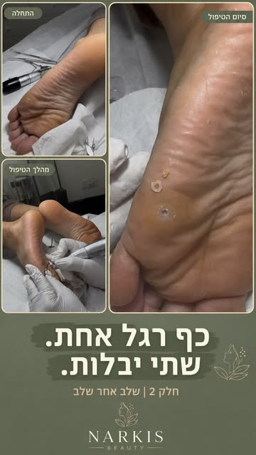 רגל