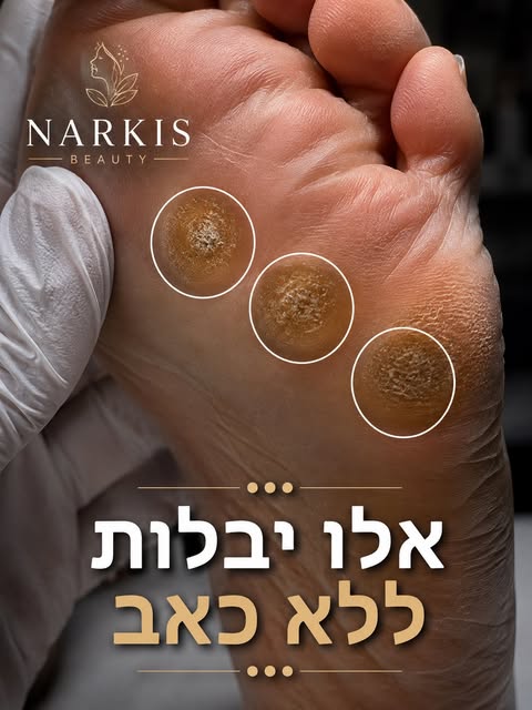 רגל